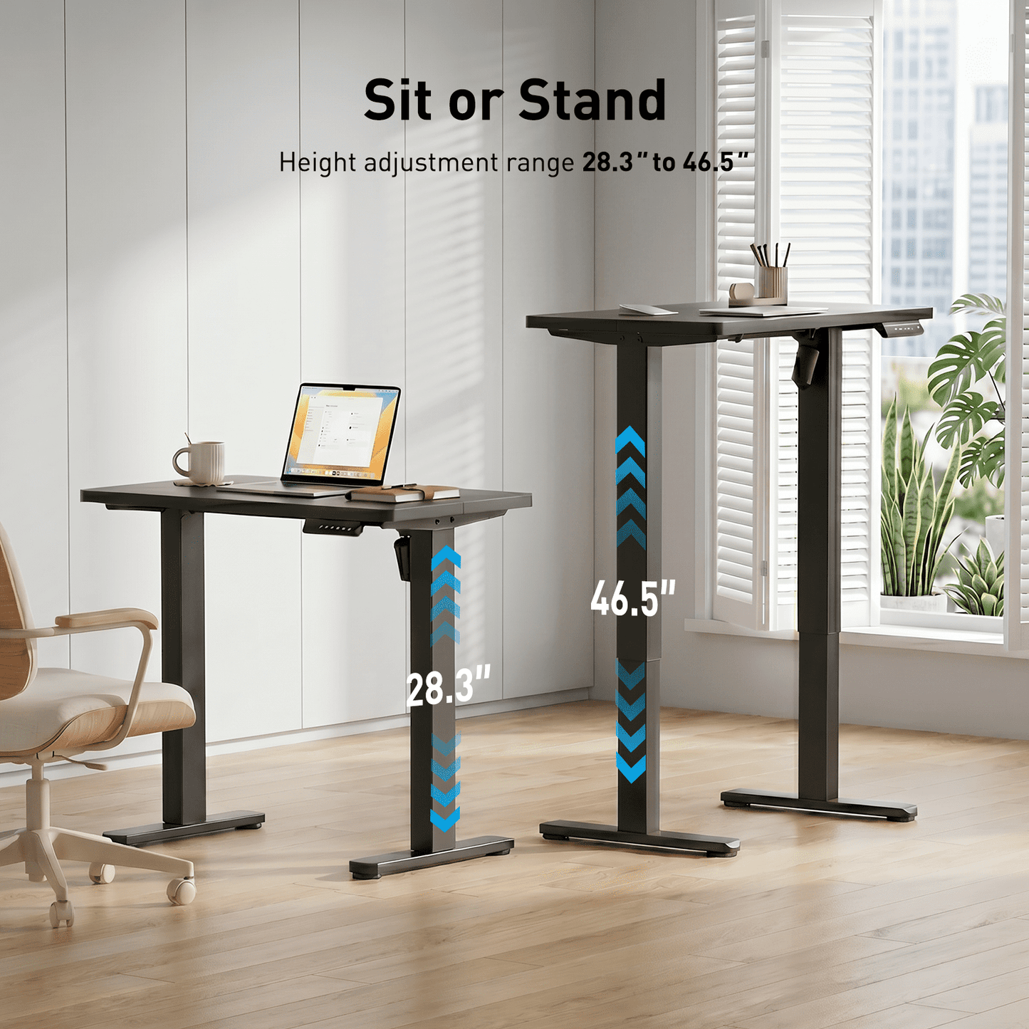 CHITOOMA 32 " Electric Standing Desk, Height Adjustbale Desk with 4 memory preset, for home offices, apartments, and small spaces, black