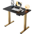 Kyspho Electric Standing Desk with 4 Memory Height Settings, 32" Small Height Adjustbale Desk, Sit Stand Up Desk for Home Office, Black + Gold