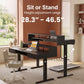 55" X 26" Electric Standing Desk with 2 Drawers & Large Keyboard Tray, Adjustable Sit Stand Computer Desk with 4 4 Memory Presets, C-Clamp Compatible Home Office Desk, Black