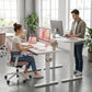 Kyspho Electric Standing Desk with Built-in Drawer, 48" x 24" Adjustable Height Computer Desk, 4 Memory Presets for Home Office, White