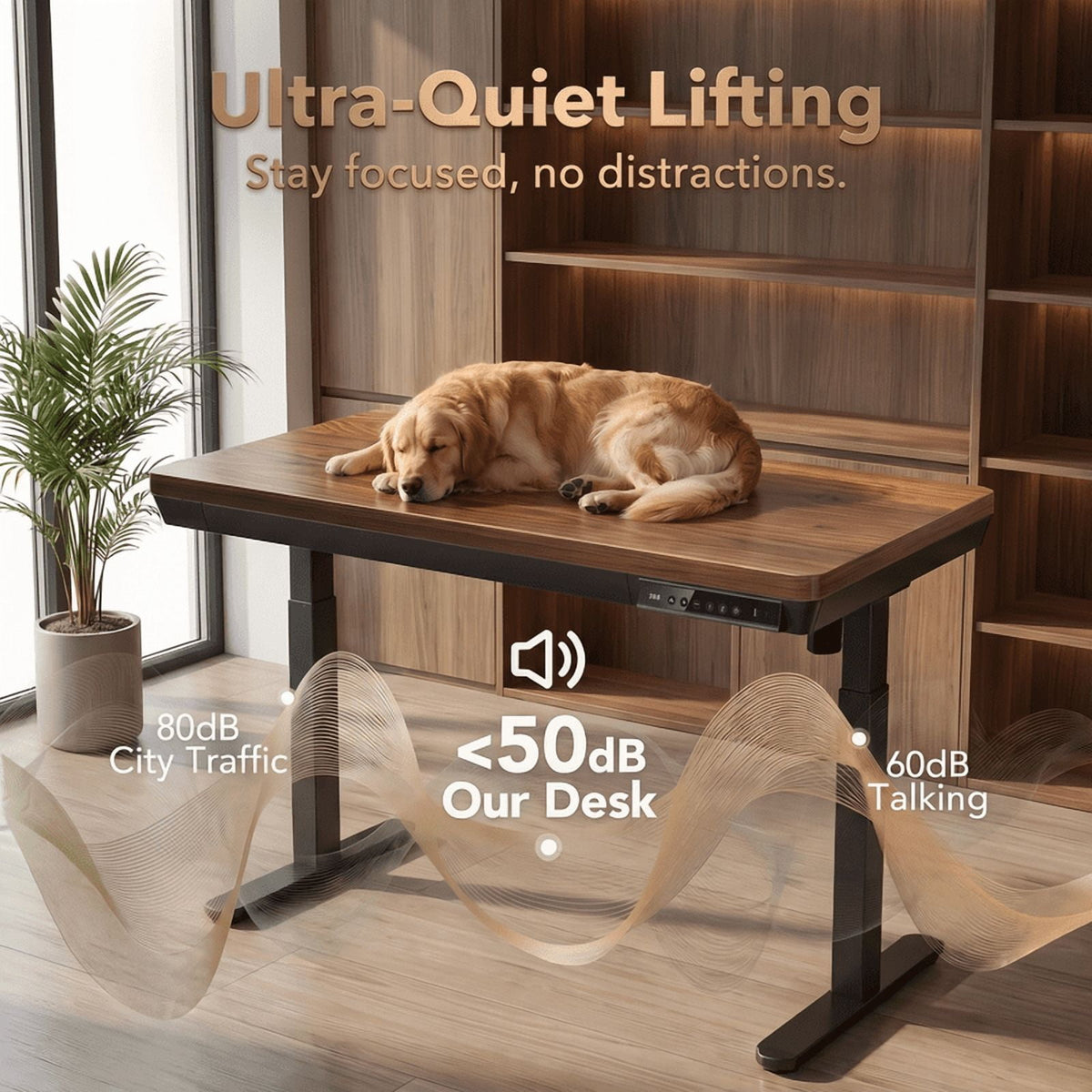 Electric Standing Desk, Stand up Desks Adjustable Height,Adjustable Desk,40x24 inches,Black Walnut