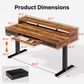 55" X 26" Electric Standing Desk with 2 Drawers & Large Keyboard Tray, Adjustable Sit Stand Computer Desk with 4 4 Memory Presets, C-Clamp Compatible Home Office Desk, Walnut