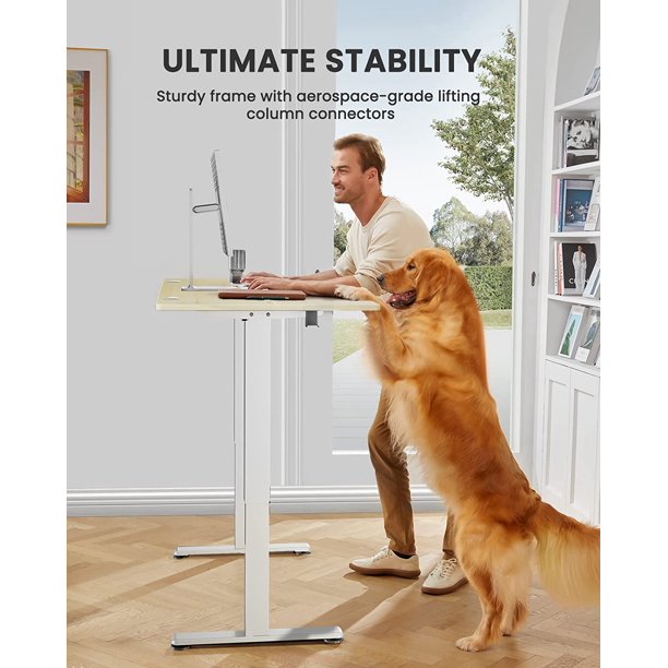 Height Adjustable Electric Standing Desk, 63x28 Inch Sit Stand up Desk, Large Memory Computer Home Office Desk, Natural - Walmart.com